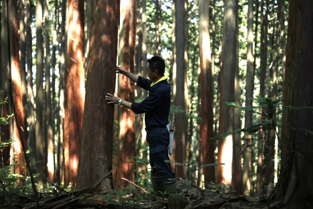 たたらの里プロジェクトとは