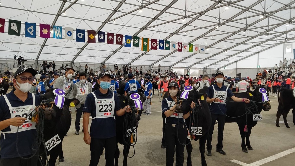 全国和牛能力共進会の会場の様子