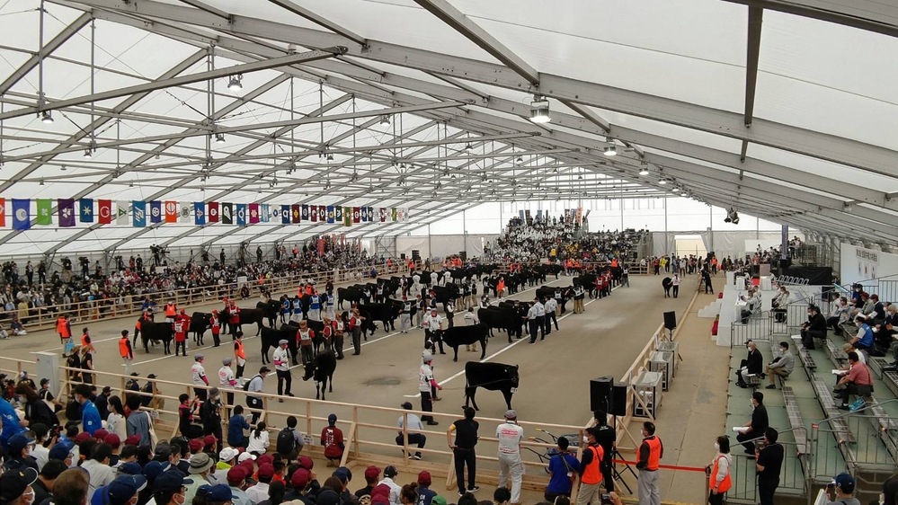 第12回全国和牛能力共進会鹿児島大会の様子