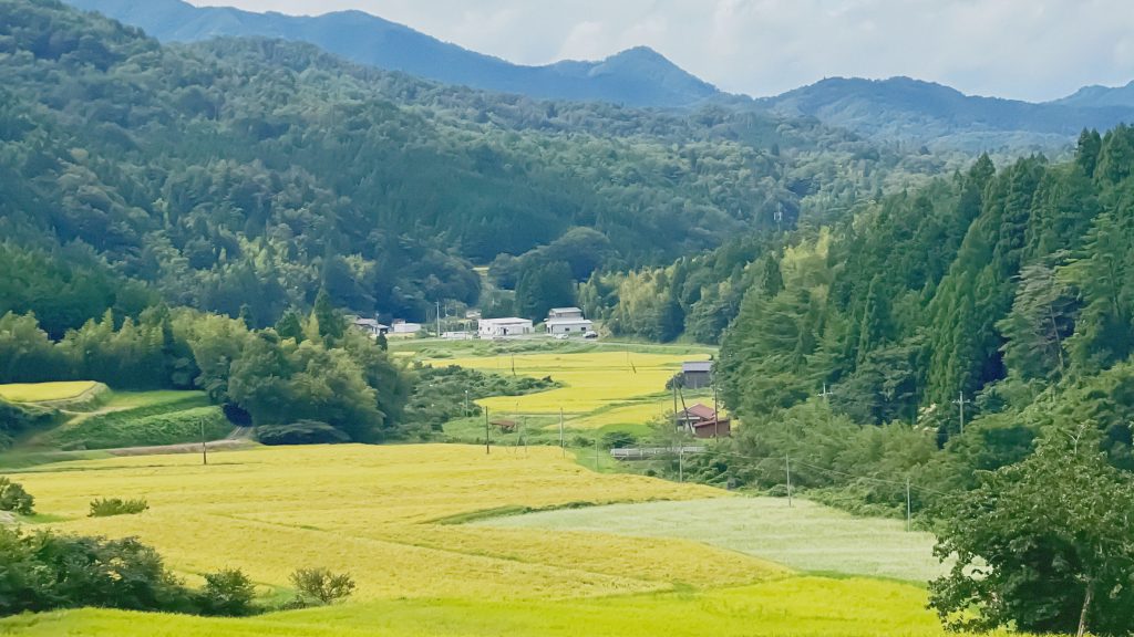 奥出雲大東産新米 令和7年度産新米】奥出雲盆地で寒暖差の中で育った旨味ある仁多米