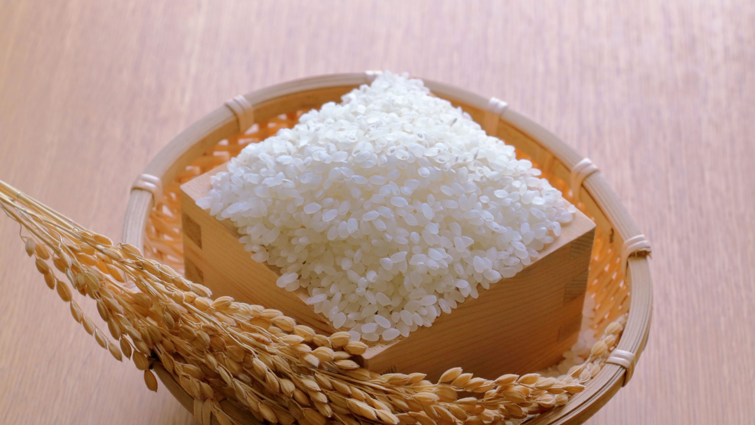 米5kgの選び方｜価格・保存・おいしさのバランスを見極める