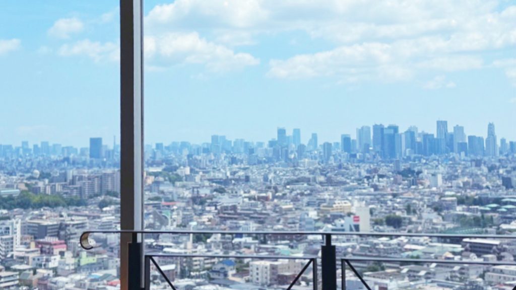 練馬展望レストランからの昼の景色