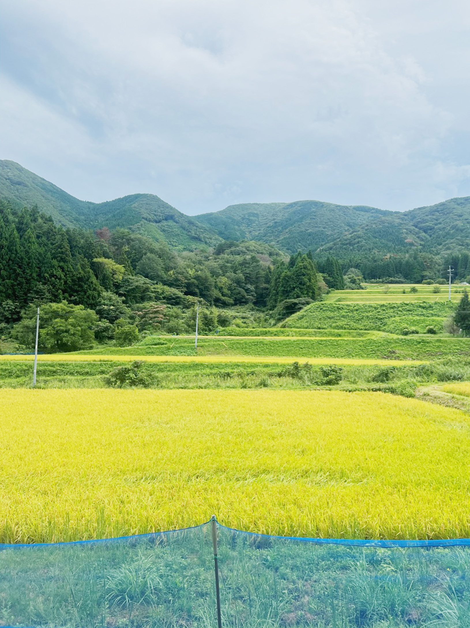 山々に囲まれた仁多郡奥出雲町の田園風景。