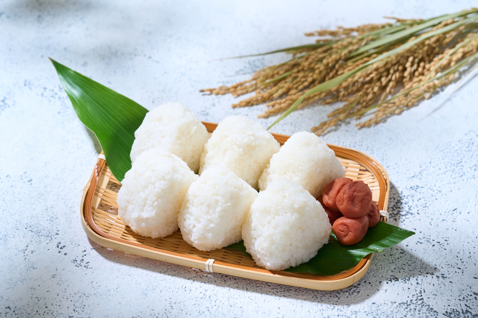 仁多米の新米で握った塩むすびのおにぎり
