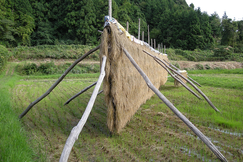 天日干し文化