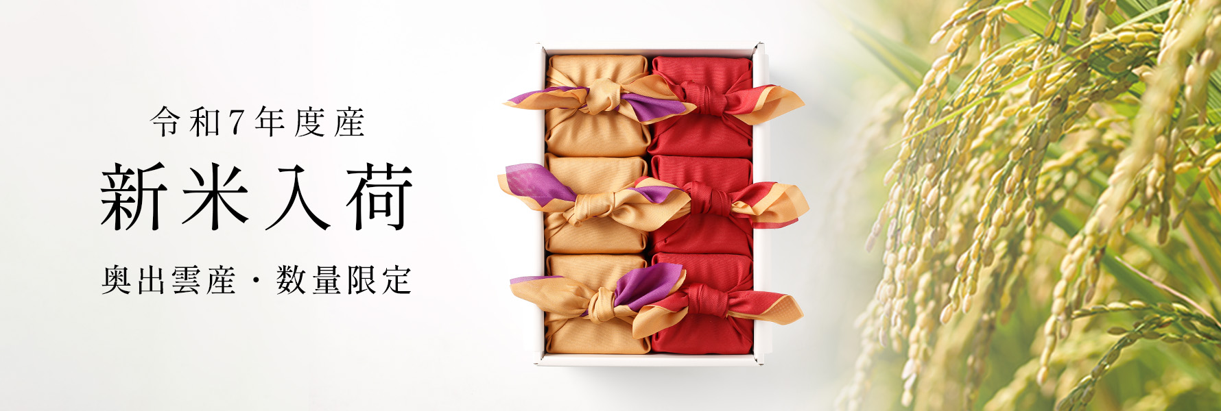 米ギフト 令和7年度産 新米入荷