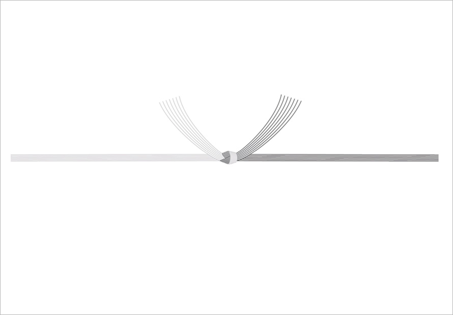 黒白結びきり