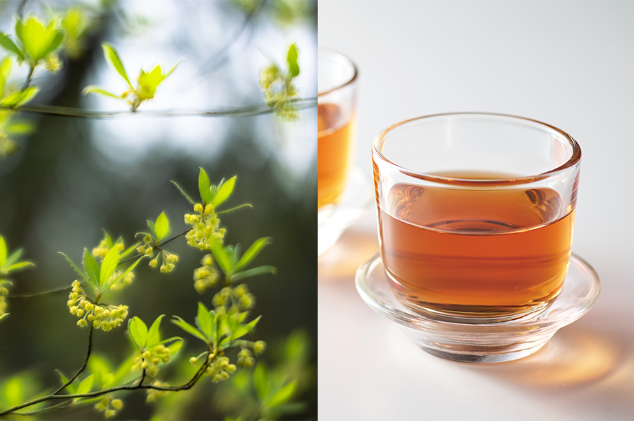 日本人の感性に寄り添う2つの味わい