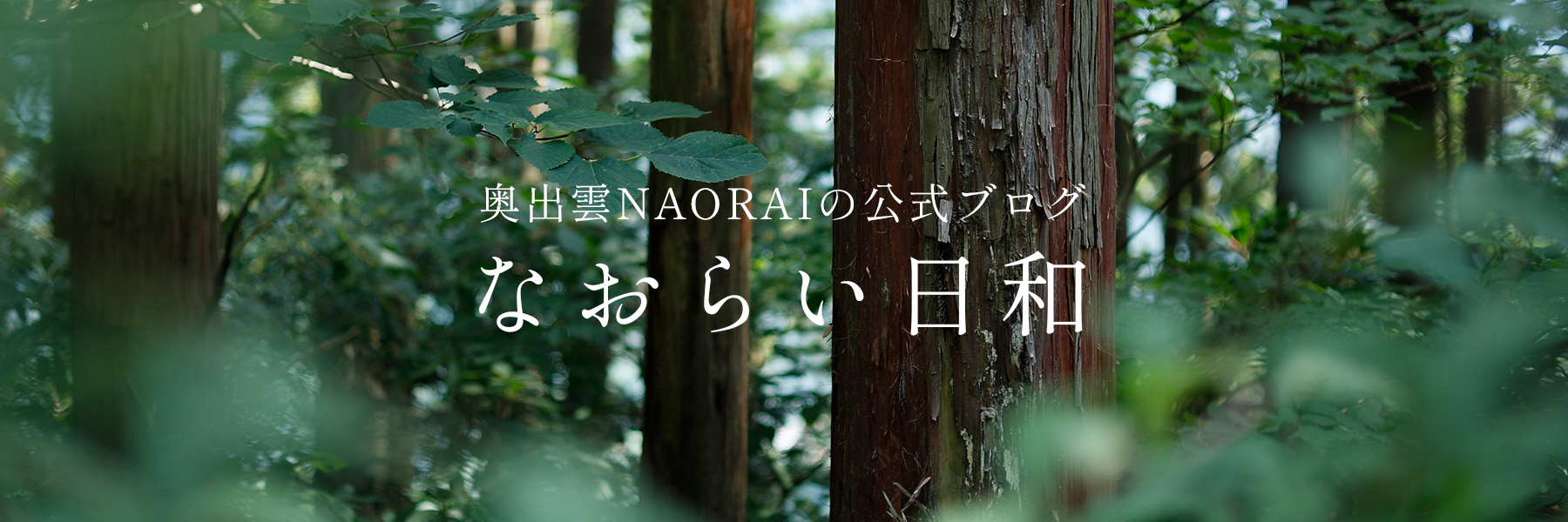 公式ブログ なおらい日和